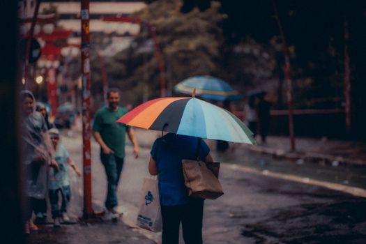 鲜活货物空运